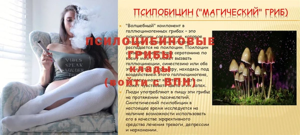 наркотики Гусиноозёрск