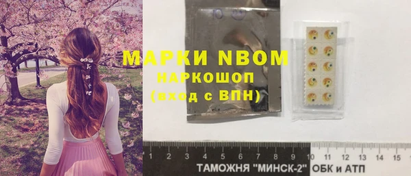 PSILOCYBIN Гусь-Хрустальный